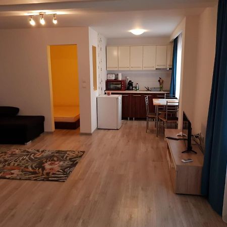 Apartament 1 Central Târgu-Mureş Exteriér fotografie