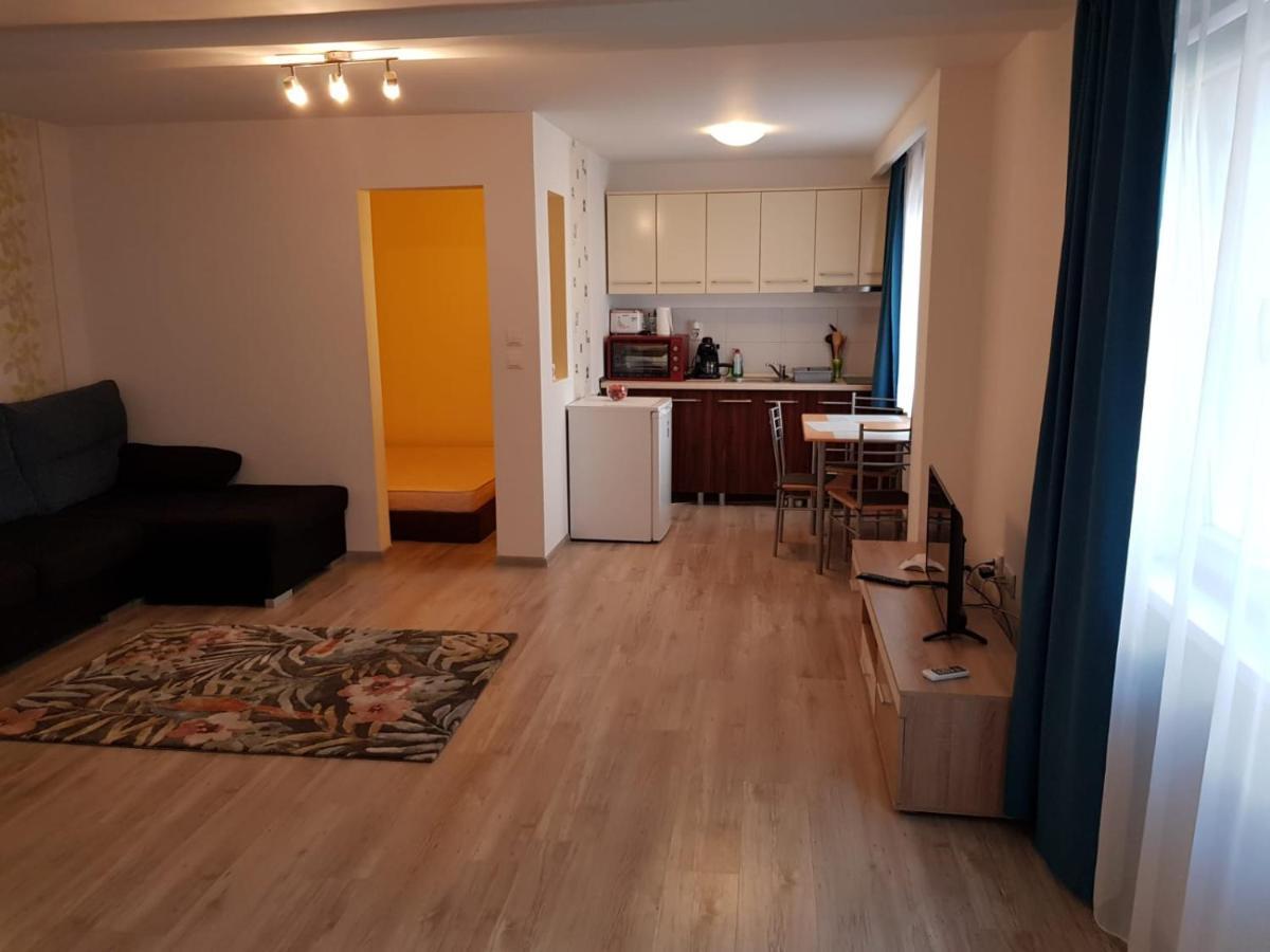 Apartament 1 Central Târgu-Mureş Exteriér fotografie