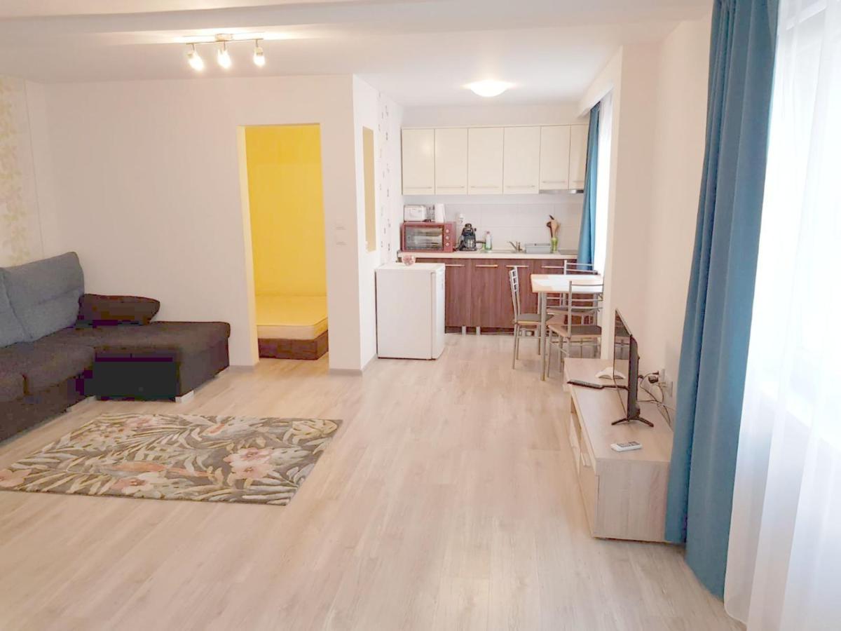 Apartament 1 Central Târgu-Mureş Exteriér fotografie